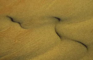 Namibia Desert Landscape Photography Stampe: Namibia - Structural forms in the sand of the Namib Desert. Namib-Naukluft Park, Namibia