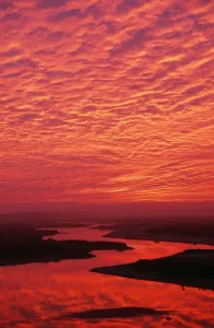 Johan De Meester Artwork Stampe: Sunset