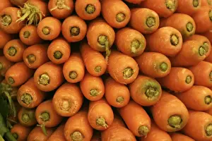 Personal Use Only Artwork Stampe: Carrots