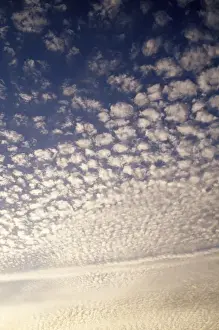 Cirrocumulus Cloud Formation Stampe: Cirrocumulus Clouds - mackerel sky