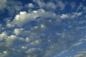 Cirrocumulus Cloud Formation Stampe: Clouds - cirrocumulus