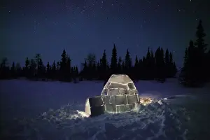 M Watson Wildlife Photographer Stampe: Igloo - at night