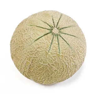 White Background Fruit Images Stampe: Melon - in studio