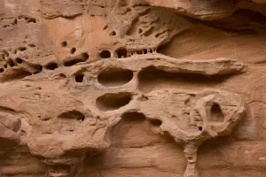 Geological Formations USA Stampe: Distinctive erosion patterns in sandstone cliff. Arches National Park, Utah