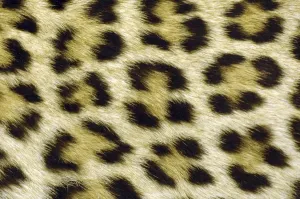 Modelli Stampe: Macchie di leopardo