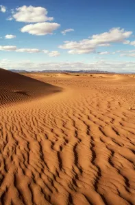 Moroccan Landscape Photography Stampe: MOROCCO - DUNES