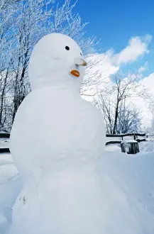 Stampe di ME-950 SNOWMAN Johan De Meester Si prega di notare che le stampe sono destinata solo a scopi di visualizzazione personale e potrebbero non essere riprodotte in alcun modo Immagini datate 1° dicembre 2007: Snowman