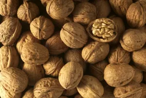 Jean Michel Labat Prints Stampe: Walnuts