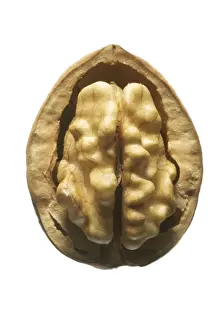 White Background Walnuts Stampe: Walnuts In shell