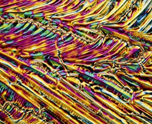 Polarized Light Microscopy Stampe: a6180359