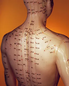 Corpo Umano Stampe: Modello di acupuntura