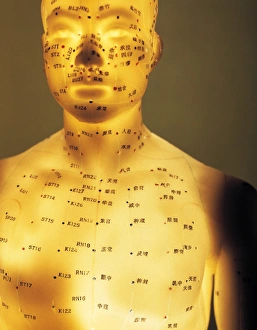 Stampe di Modello di accupuntura. Modello dell'anatomia umana illuminato con punti di accupuntura (puntini etichettati) e meridiani (linee colorate) Immagini datate 2003 maggio: Modello di acupuntura