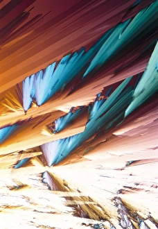 Polarised Light Microscopy Stampe: Adenosine crystals, light micrograph