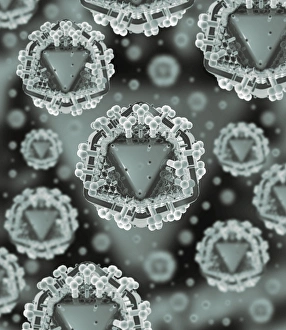 Computer Artwork Viruses Stampe: AIDS virus particles, computer artwork