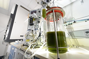 Immagini del 2 maggio 2008: Fermentazione di alghe reattore biologico