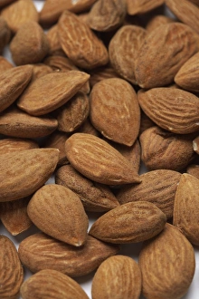 Edible Nuts Stampe: Almonds