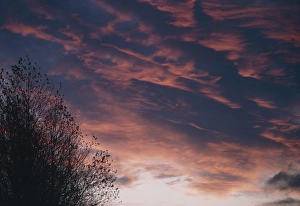 Stampe di Nuvole altocumulose illuminate dal tramonto che si avvicina a Gloucester in Inghilterra Immagini datate 1986: Nuvole altostellate