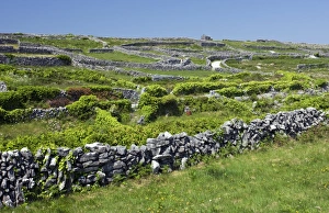 Burren Landscape Stampe: Ancient limestone fields