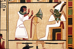 Stampe di Un'illustrazione dal Libro dei Morti che rappresenta il defunto scriba Ani nell'adorazione di Osiride, dio della morte dell'oltretomba e del dopo vita. È collocata nella Sala delle Due-Maat Immagini datate 2012 luglio: Osiride e Ani