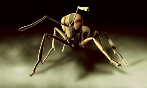 Invertebrate Biology Stampe: Ant, computer artwork