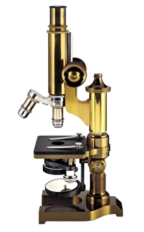 Antique Laboratory Equipment Stampe: Antique microscope