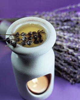 Stampe di L'aromaterapia con l'albero di lavanda secca (Lavendula sp.) e il suo olio essenziale in un bruciatore di oli. Un ramo di lavandola è alla sua sinistra Immagini datate 2003 aprile: Aromatherapy