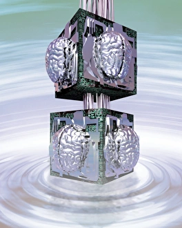 Artificial Intelligence Stampe: Artificial brains