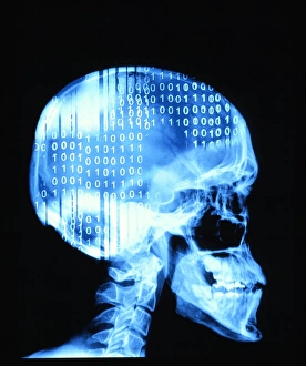 Intelligenza artificiale