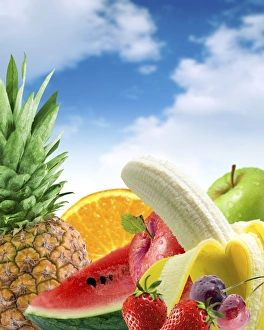 Fruit Collection Stampe: Assorted fresh fruit