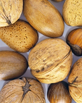 Assorted Nuts Stampe: Assorted nuts