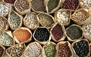 Grocery Shopping Essentials Stampe: Assorted pulses C014 / 1503