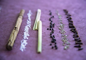 Cinnamon Spice Stampe: Assorted spices