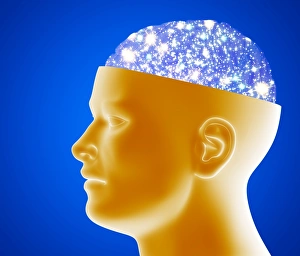 Stampe di Cranio astronomico. Arte computerizzata di una testa umana tagliata in due parti rivelando un cervello pieno di stelle Immagini datate 2004 giugno: Cervello astronomico