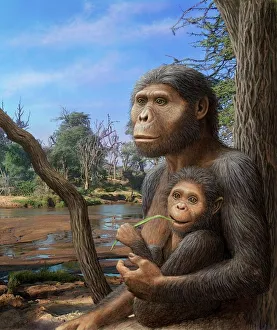 Stampe di L'Australopithecus afarensis è un artista di una femmina Australopithecus afarensis umano con il suo bambino. Questo umanità viveva tra i 3,9 e i 2,9 milioni d'anni fa Immagini datate 2009: L'Australopiteco africano affina il suo ritratto artistico