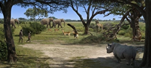 African Savannah Scene Stampe: Australopithecus afarensis landscape