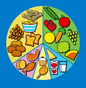 Balanced Diet Stampe: Balanced diet