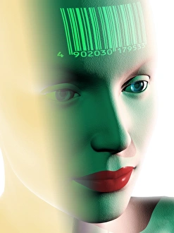 Stampe di Il codice a barre sulla fronte di una donna, arte informatica del computer. Ciò potrebbe rappresentare l'etichettatura delle persone per scopi di sorveglianza Immagini del 12 dicembre 2006: Codice a barre sulla testa di una donna