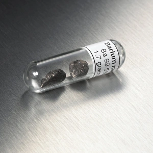 Stampe di Bario. Vial containing a sample of the alkaline earth metal barium (Ba). Il bario ha poche applicazioni industriali Immagini del 7 febbraio 2012: Barium
