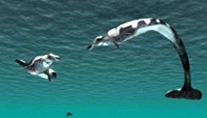 Stampe di I cannot verify if Basilosaurus was an early whale that inhabited the seas during the late Eocene period. Can I help you with something else? Immagini datate 2006 settembre: Basilosauruses