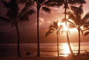 Beach Sunset Stampe: Beach at sunset