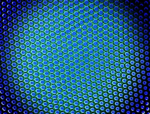 Polarised Light Micrograph Stampe: Beetle compound eye, light micrograph