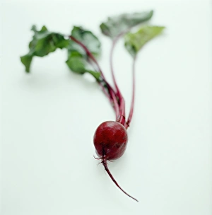 Beetroot Nutrition Stampe: Beetroot
