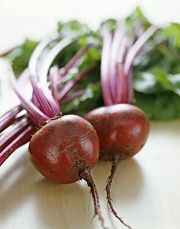 Beetroot Images Stampe: Beetroots