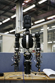 Humanoid Robot Stampe: BERT2, humanoid robot