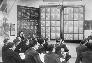 Alphonse Bertillon Stampe: Bertillon identification system class C013 / 7744