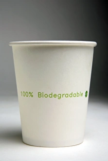 Environmentally Friendly Packaging Ideas Stampe: Biodegradable cup