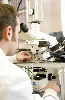 Microscope Examination Stampe: Biologist using a microscope