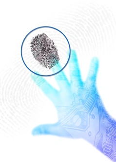 Printed Circuit Board Design Stampe: Biometric security, artwork