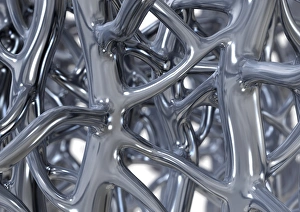 Cancellous Bone Structure Stampe: Bone trabeculae