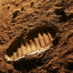 Space Exploration Images Stampe: Bootprint on Mars, artwork